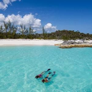 Meet your Posher, Maya